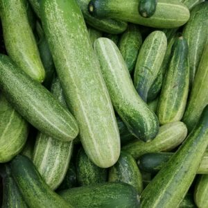 Home A close-up of fresh green cucumbers piled together, showcasing texture and healthiness.