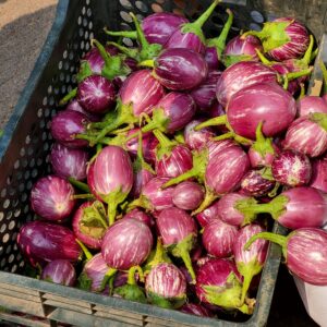 A basket filled with purple eggplants on display at an outdoor market.
