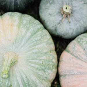 Top view of green and orange pumpkins on grass, showcasing natural texture.