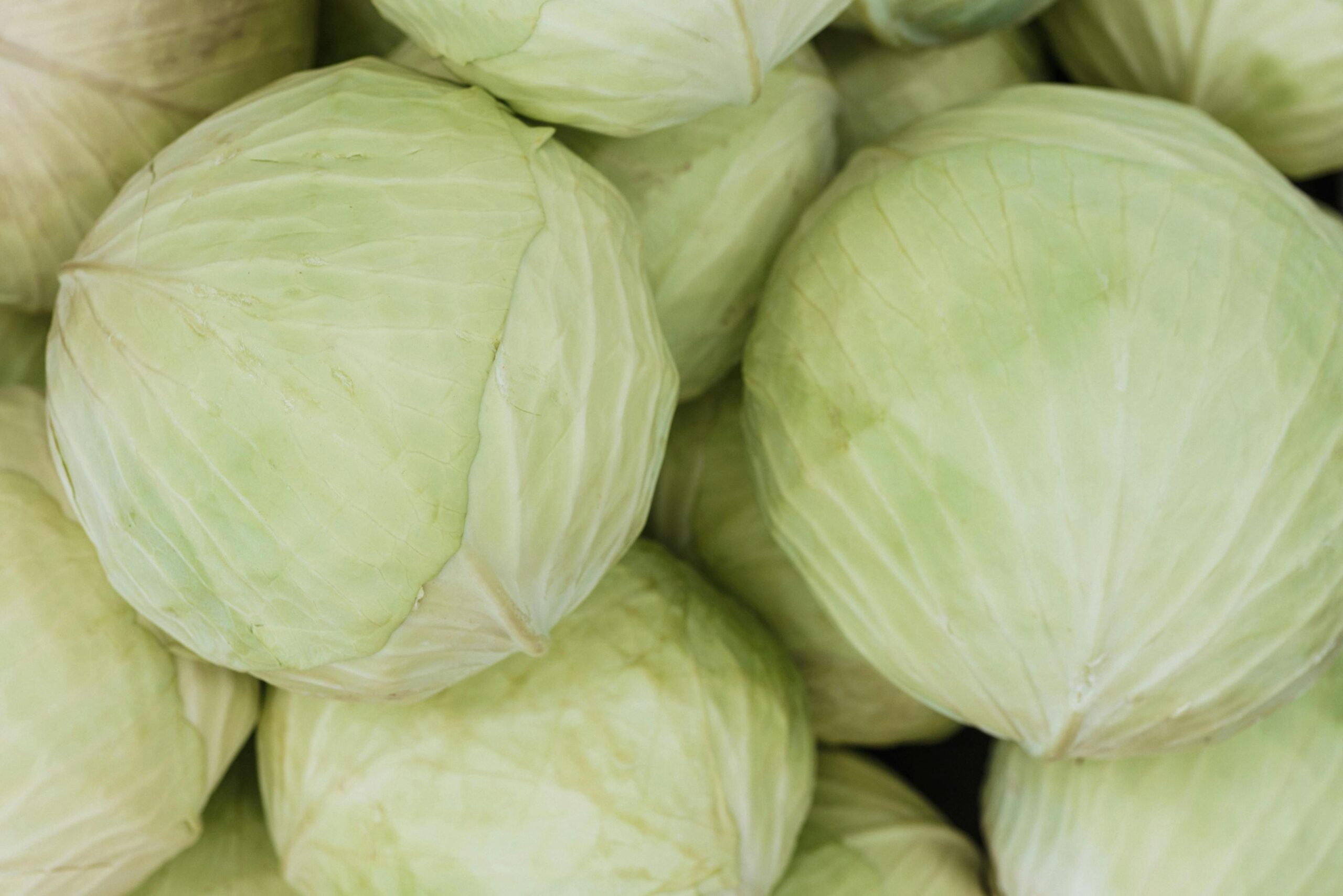 pexels photo 6316536 6316536 A close-up image of fresh green cabbage heads, showcasing their texture and color.