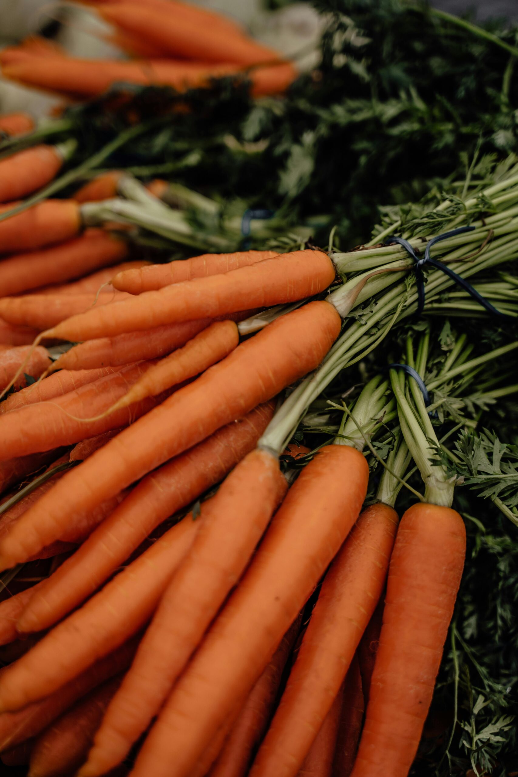 pexels photo 6631952 6631952 Freshly harvested organic carrots bundled together at a vibrant market in Erfurt, Germany.