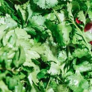 Home Close-up of fresh cilantro leaves in a vibrant green display at a market.
